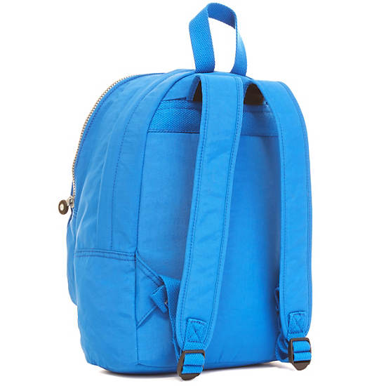 Challenger II Small Backpack, Mystic Blue, large