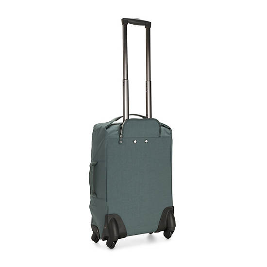 Darcey Small Carry-On Rolling Luggage, Light Aloe, large