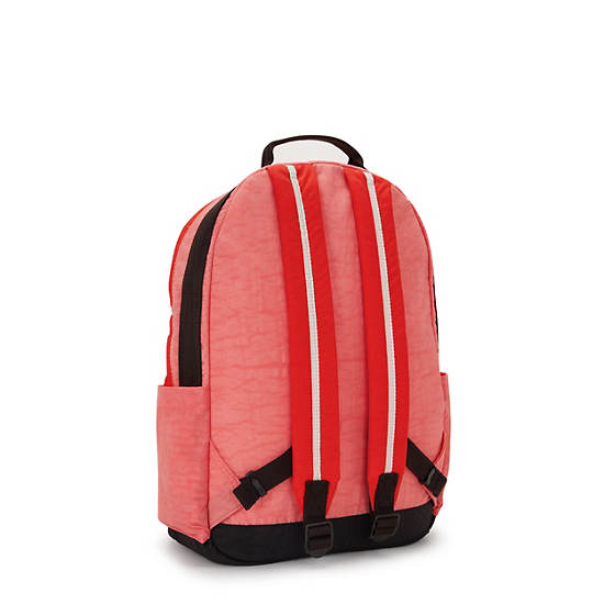 Damien Large Laptop Backpack, Tango Pink Bl, large