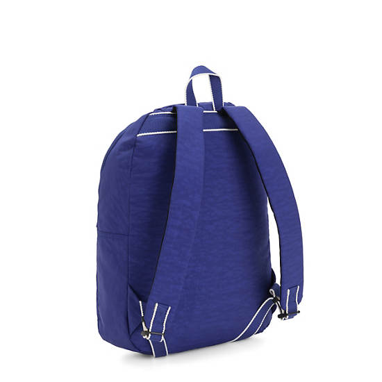 Pride Kiryas Medium Backpack, Brush Stripes, large