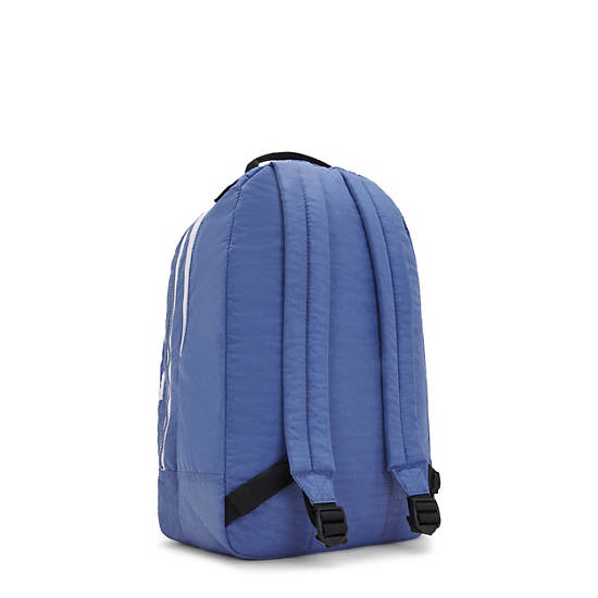 Curtis Extra Large 17" Laptop Backpack, Blue Lover C, large