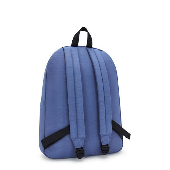 Curtis Large 17" Laptop Backpack, Blue Lover C, large