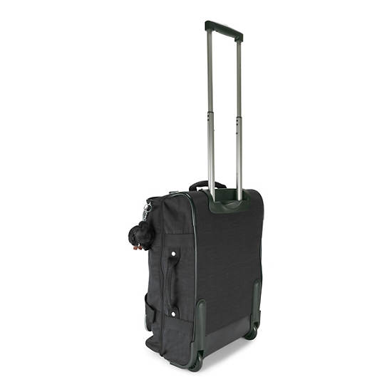 Teagan Small Wheeled Luggage, Black, large