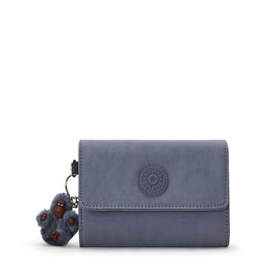 Pixi Medium Organizer Wallet - Perri Blue