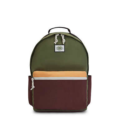 Damien Large Laptop Backpack - Valley Moss