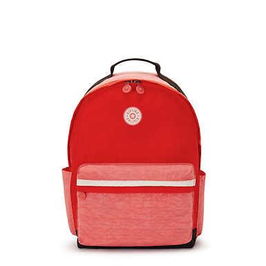Damien Large Laptop Backpack - Tango Pink Bl