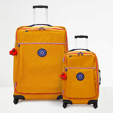 Travel-Ready Set
