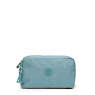 Gleam Pouch, Peacock Teal Stripe, small