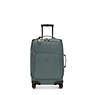 Darcey Small Carry-On Rolling Luggage, Light Aloe, small