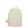 Haydar Printed 15" Laptop Backpack, Gradient Combo, small