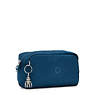 Gleam Pouch, Dynamic Beetle, small
