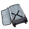 Darcey Small Carry-on Rolling Luggage, Active Denim, small