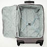 Darcey Small Carry-On Rolling Luggage, Sven, small