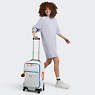 Darcey Small Carry-On Rolling Luggage, Curiosity Grey, small
