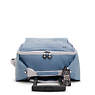 Darcey Small Carry-On Rolling Luggage, Brush Blue C, small