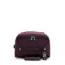 Darcey Small Carry-On Rolling Luggage, Dark Plum, small