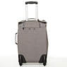Darcey Small Carry-On Rolling Luggage, Sven, small