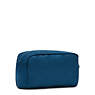 Gleam Pouch, Dynamic Beetle, small
