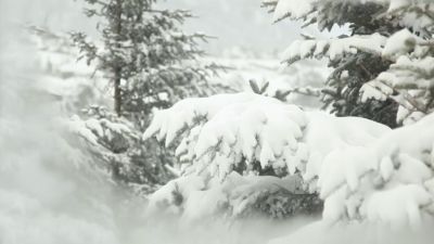 Women's Baxter State Parka