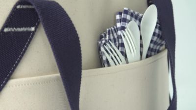 ll bean cooler tote bag