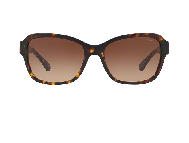 Coach Glasses & Sunglasses – Prescription Eyewear| LensCrafters