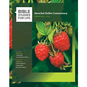 Bible Studies for Life Adults Commentaries