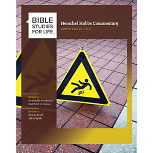 Bible Studies for Life Adults Commentaries