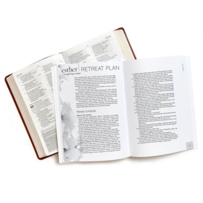 Esther - Bible Study Book
