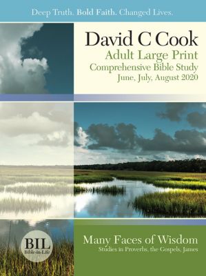 David C. Cook Curriculum & Sunday School Lessons | LifeWay