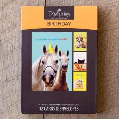 Boxed Cards: Birthday (Humor) - Lifeway