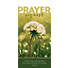Safety  Prayer Request - Guest Card (PKG 50)