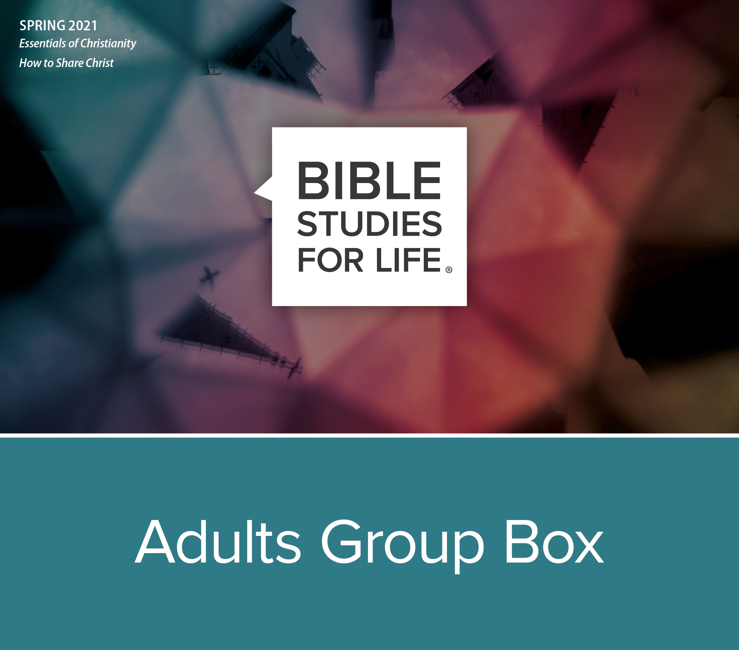 Bible Studies for Life Adults Group Box