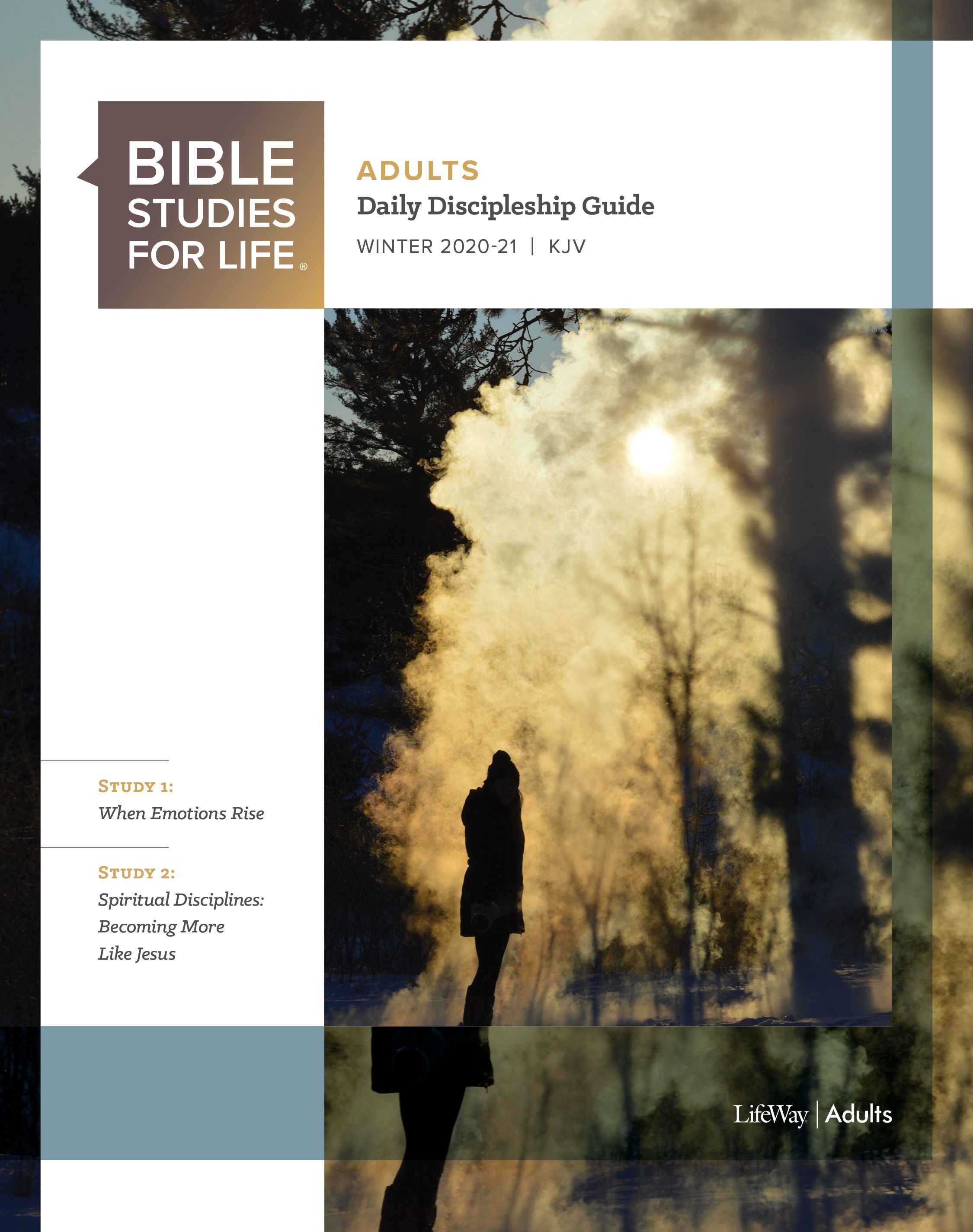 Bible Studies For Life Adults KJV Resources Lifeway