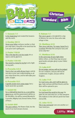 Bible Skills Drills and Thrills Green Cycle CSB Verse Cards (PKG 10