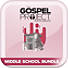The Gospel Project for Students: A Nation Divided Volume 5  Middle School Digital Bundle