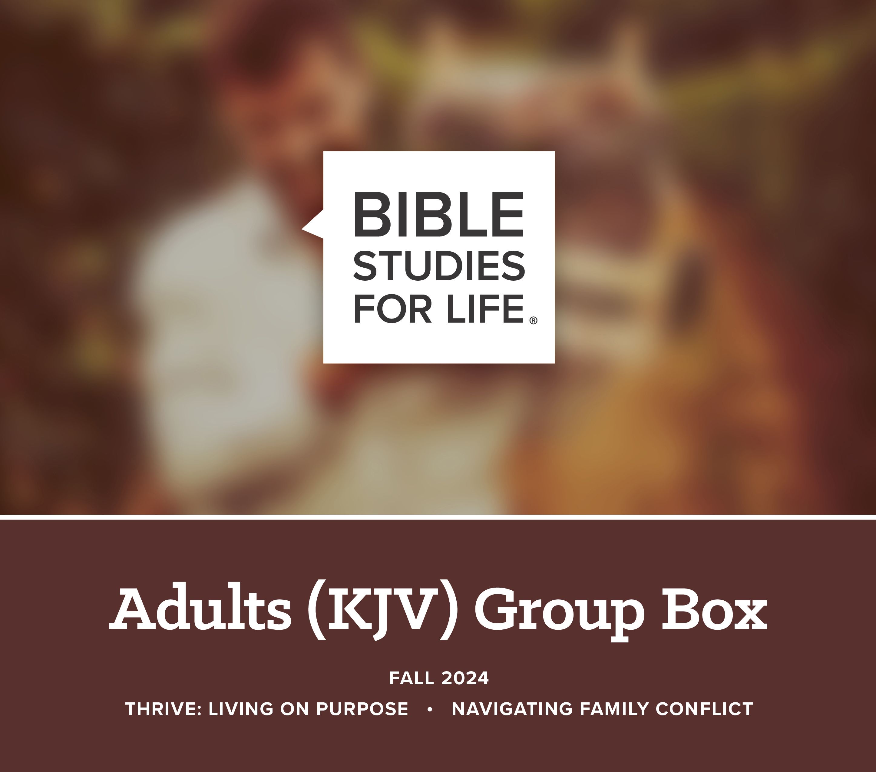 Adult KJV box