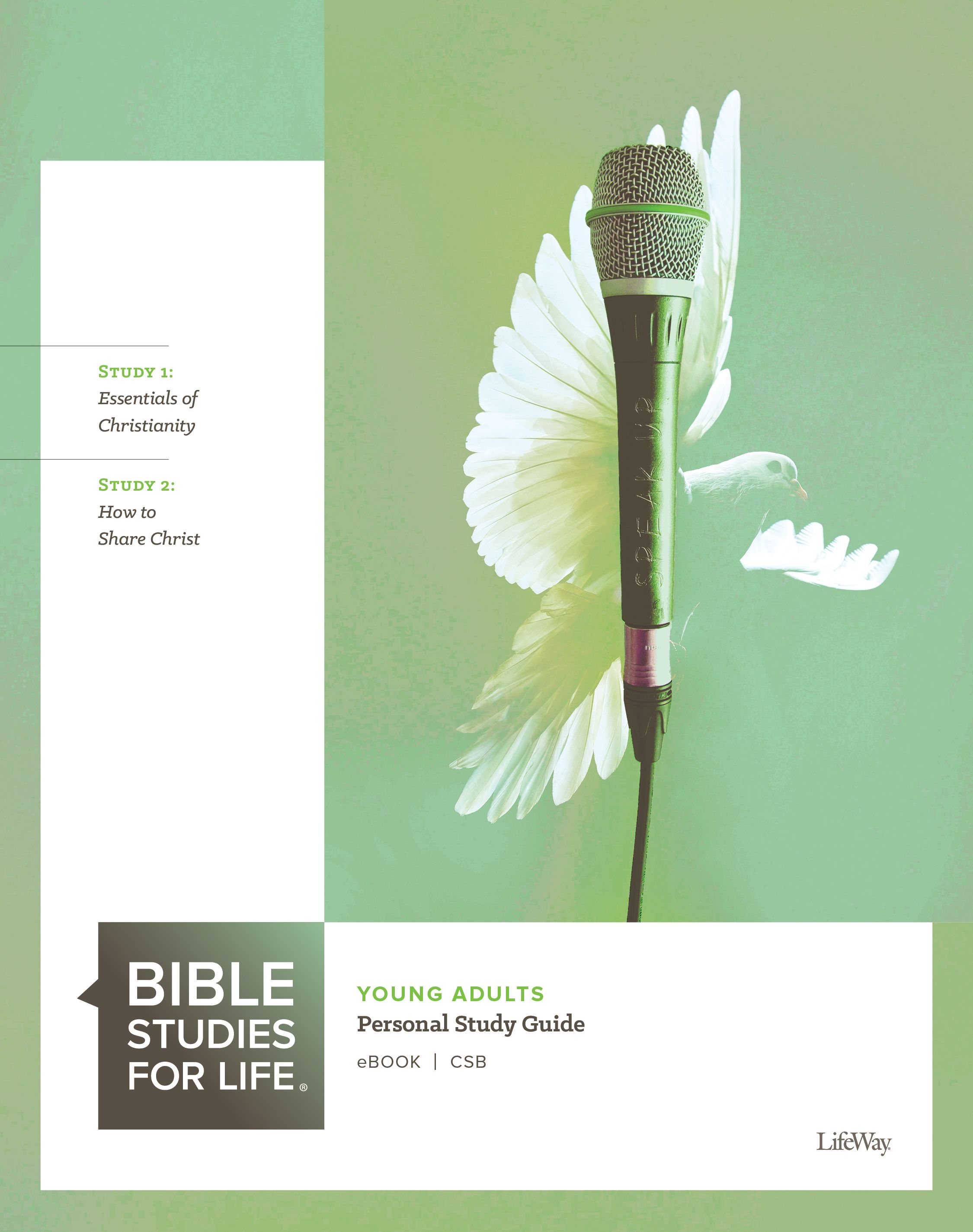 Bible Studies for Life Adults Spring Lifeway