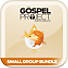The Gospel Project for Students: Small Group Bundle Summer 2021