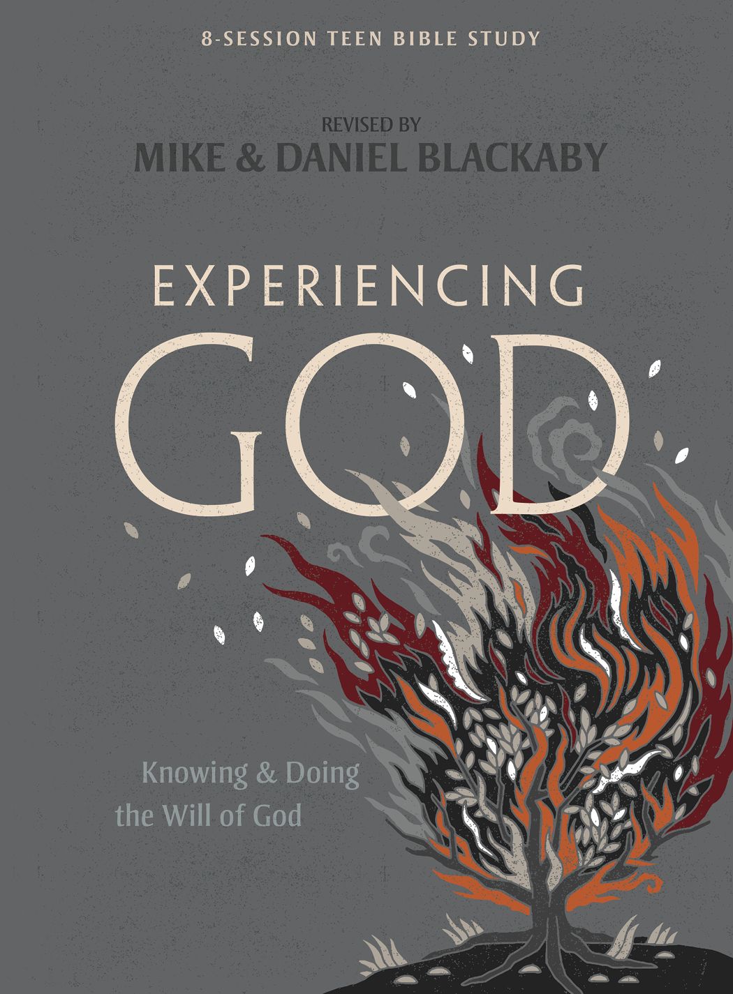 Teen bible study lessons for youth lifeway