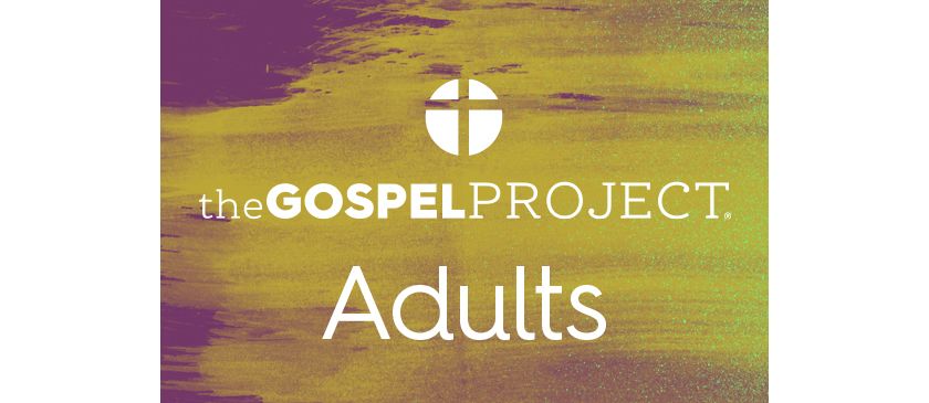 The Gospel Project for Adults: Basic (101-200) | Lifeway