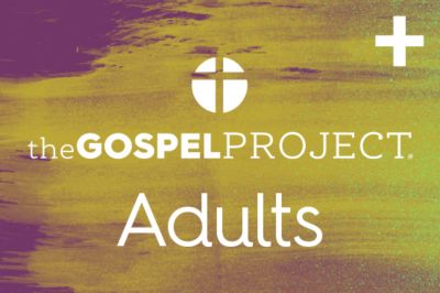 The Gospel Project for Adults: Plus (201-400) | Lifeway