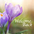 Digital Church Graphics Package - Welcome Back - 4