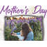 Digital Church Graphics  Package - Mother's Day 2