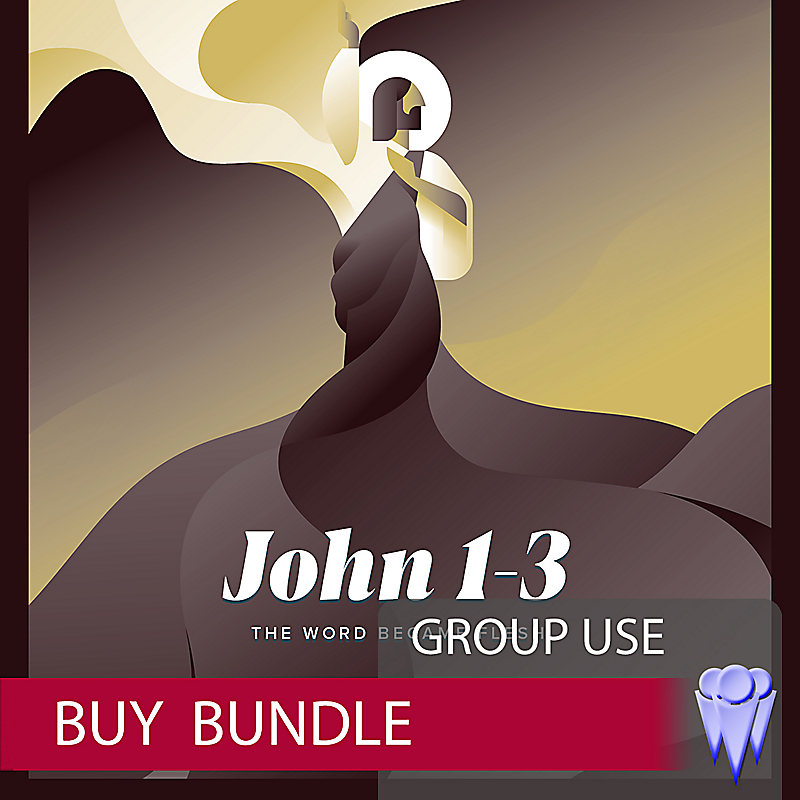 John 1-3 - Teen Group Use Video Bundle - Buy