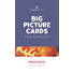The Gospel Project for Preschool: Preschool Big Picture Cards - Volume 2: From Captivity to the Wilderness