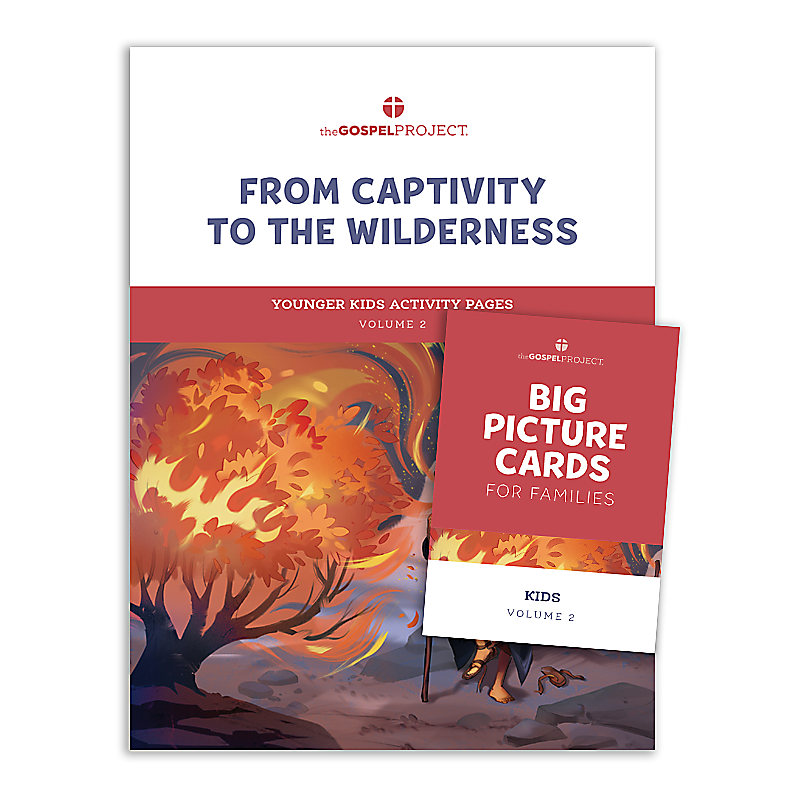 The Gospel Project for Kids: Younger Kids Activity Pack - Volume 2: From Captivity to the Wilderness