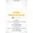 How Marvelous - Downloadable Orchestration