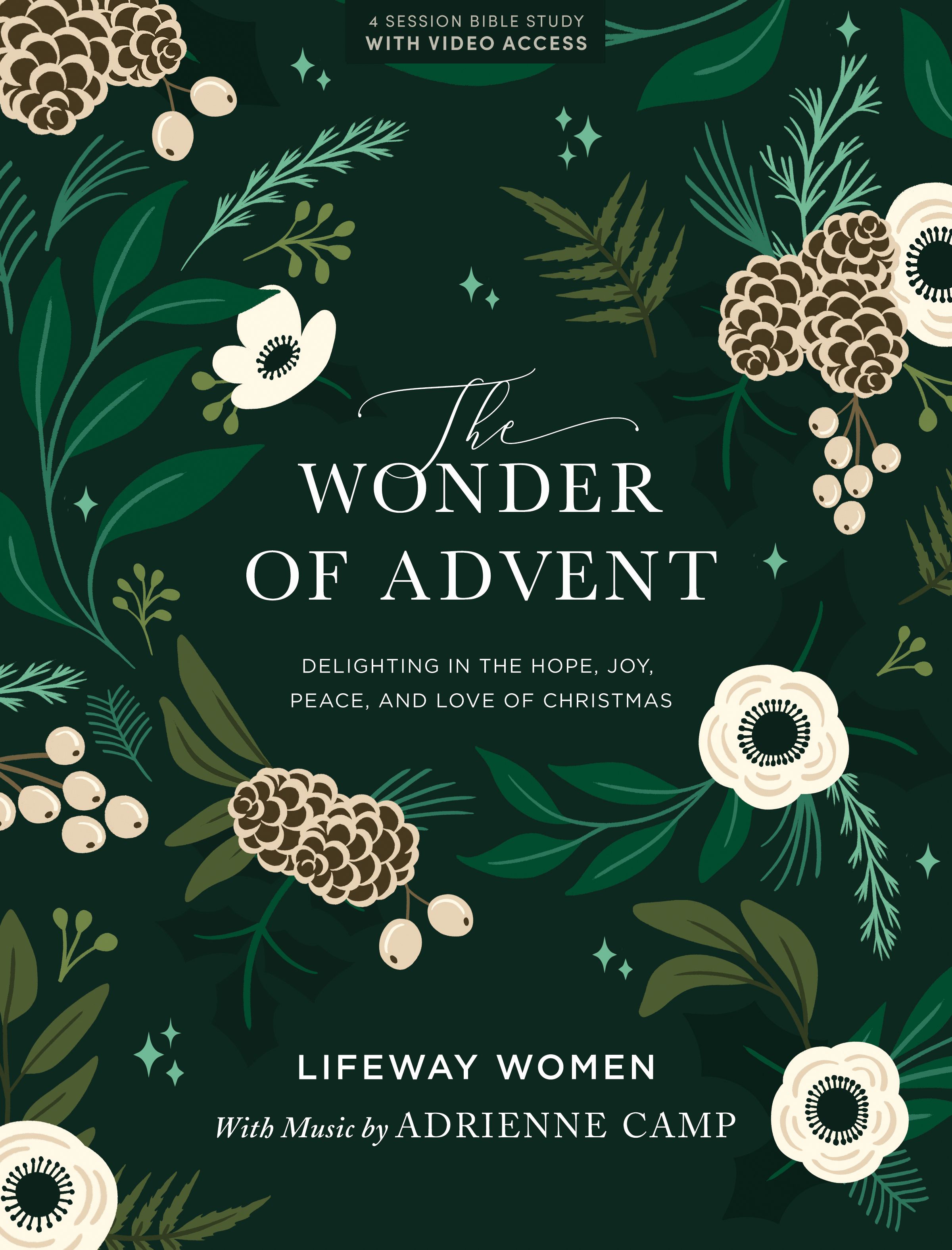 Advent Bible Study Lifeway