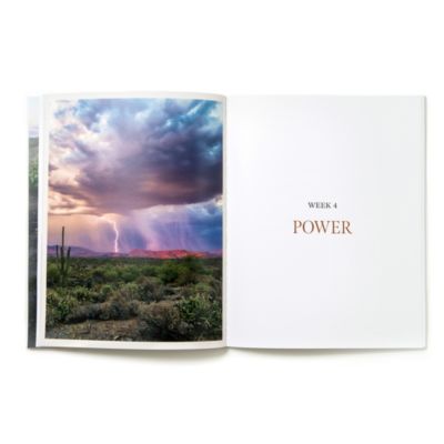 Exodus - Storyteller - Bible Study Book