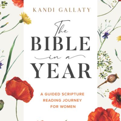 The Bible in a Year - Video Streaming - Individual